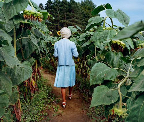 gardens