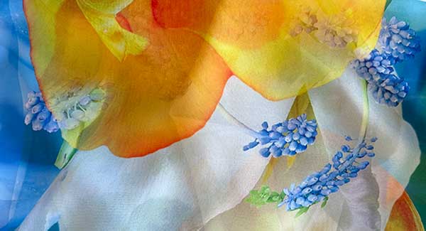 Scarves- In Stock Now