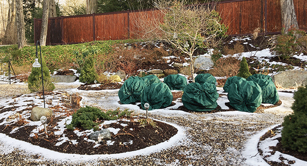 The Garden-Winter Dormant