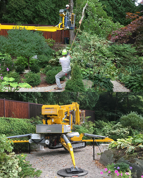 Autumn Planting